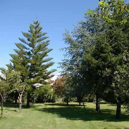 Vivienda Tradicional Con Jardin Y Patio Interior Villa Villanueva De Arosa Kültér fotó
