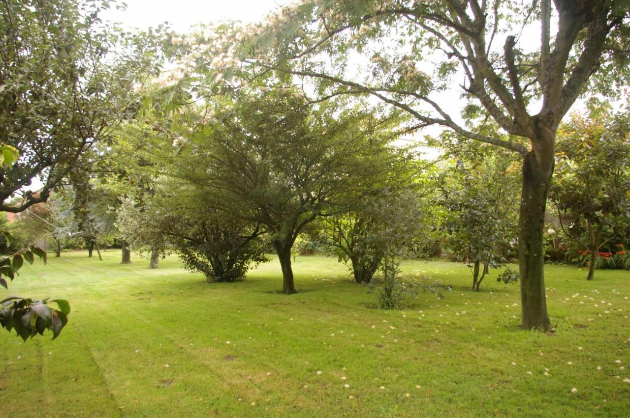 Vivienda Tradicional Con Jardin Y Patio Interior Villa Villanueva De Arosa Kültér fotó