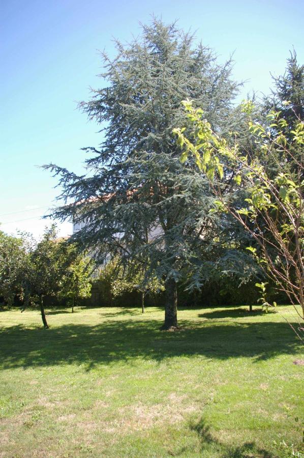 Vivienda Tradicional Con Jardin Y Patio Interior Villa Villanueva De Arosa Kültér fotó